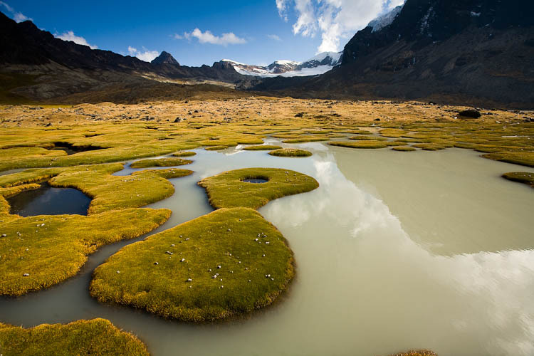 A high-altitude bog lies at the foot of Mt. Cuchillo (18,553'/5,655m) and reflects the surrounding peaks of the Apolobamba Range in Bolivia during winter.