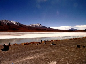LAGUNA HEDIONDA