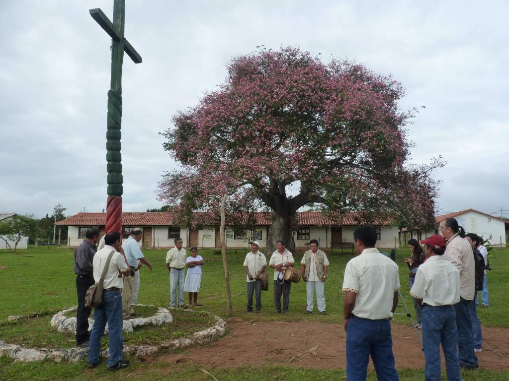 palmarito de la frontera (6)