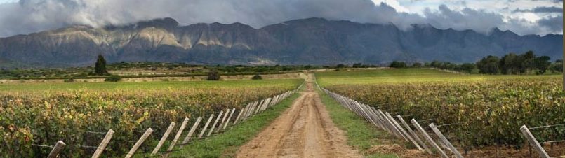Foto: Campos de Solana