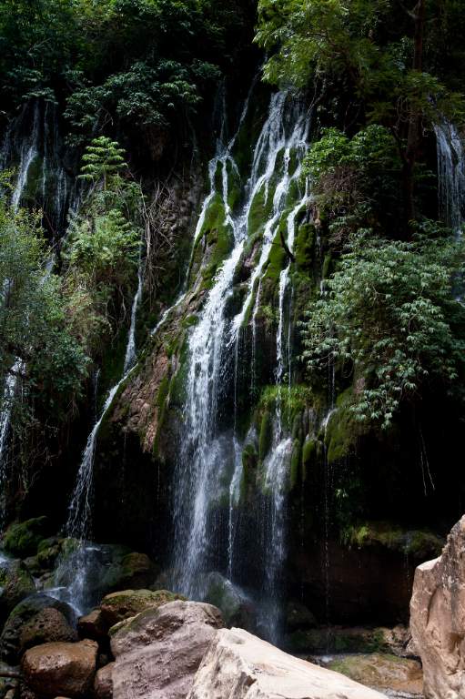 El vergel. Definitivamente este destino tiene el abanico completo de posibilidades de relax y diversión. A sólo 3.5 kilómetros, al fondo del Gran Cañón de Toro Toró, está El Vergel, un verdadero paraíso con caídas de agua cristalina que filtran entre gigantes rocas de unos 70 metros de altura, entre exuberante vegetación.