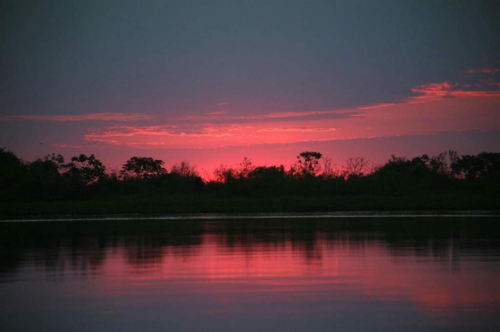 Pantanal Boliviano. Compartido con Brasil y Paraguay el Pantanal es uno de los humedales más importantes del mundo.