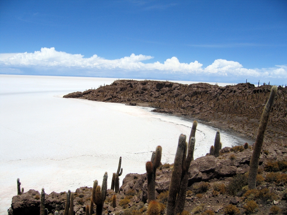 uyuni5