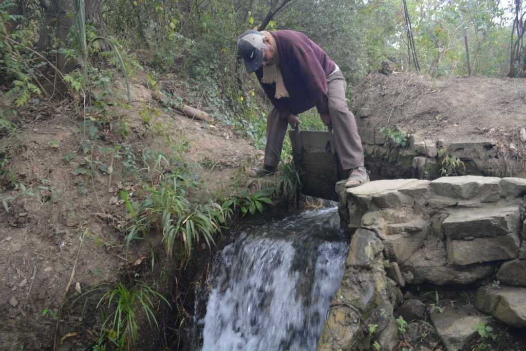 viejo molino (6)