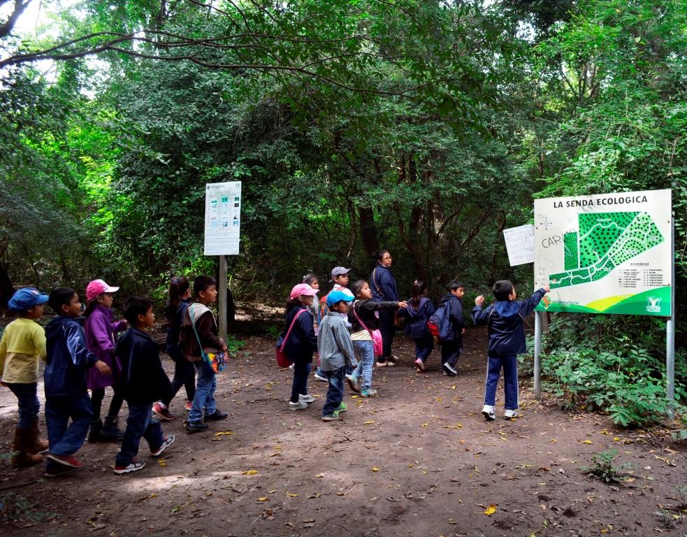 La Senda Ecológica se extiende por 7 km en los que recorre los tres ecosistemas que convergen en el Jardín Botánico: bosque chiquitano, el bosque subtropical y el bosque chaqueño. Fotos: © Cecilia Requena Gallo