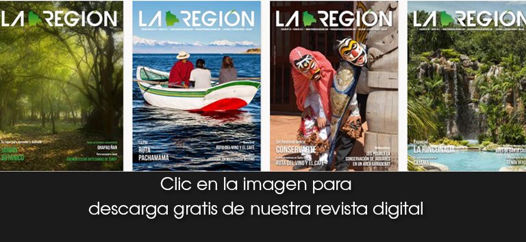 revistas-descarga